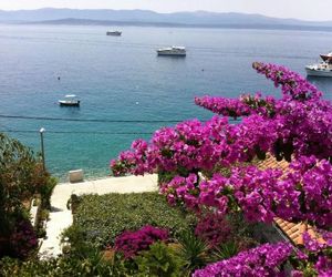 Apartments Matea Bol Croatia