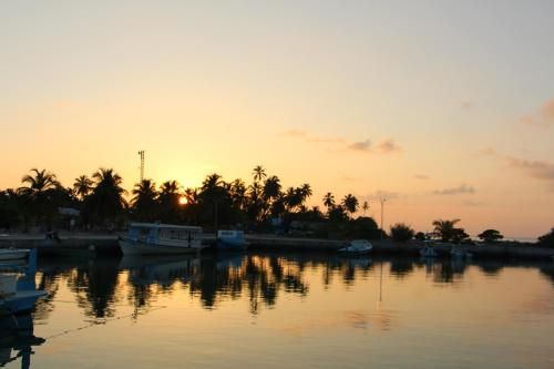 صورة الفندق 19