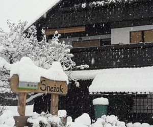 Snežak (Snowman) Bohinjska Bistrica Slovenia