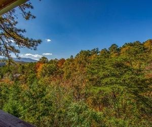 Ladybug Resort Romantic Cabin With Mountain Views, Game Room, Close to Dollywood Sevierville United States