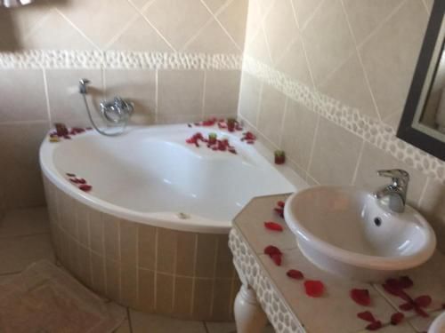 صورة الفندق 21