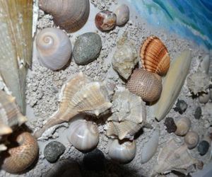 Kelas SEASHELL Art Decor Studio Vlore Albania