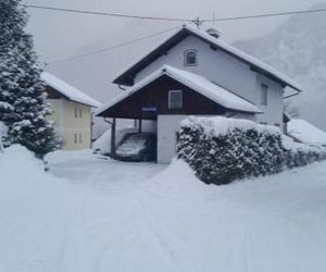 Ferienhaus-Cerny Bad Goisern Austria