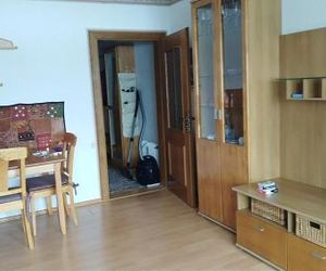 Happy Stay Apartment Bad Mitterndorf Austria