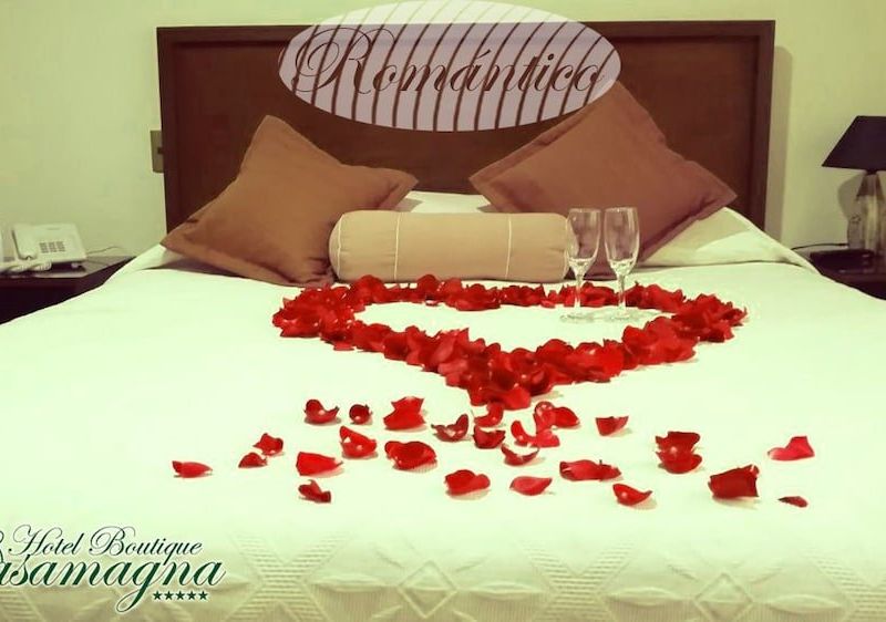 صورة الفندق 8