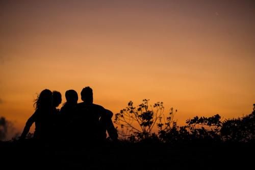 صورة الفندق 16