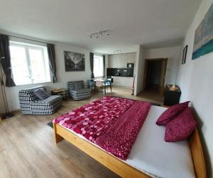 Sport Apartment Lipno nad Vltavou Czech Republic