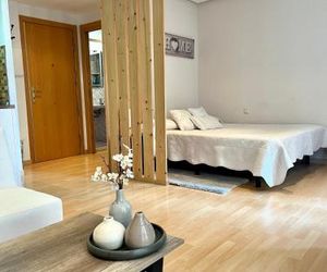 Suite Loft Laurel Logrono Spain