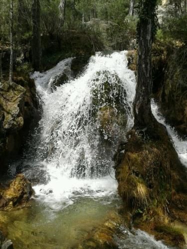 صورة الفندق 19
