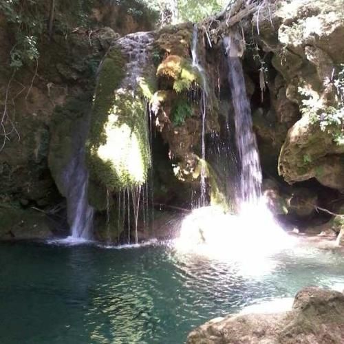 صورة الفندق 8