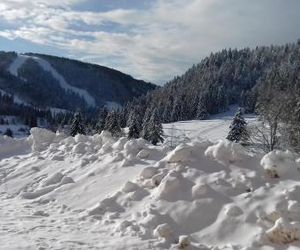 Les feignes cerfdoré La Bresse France