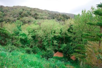 صورة الفندق 9