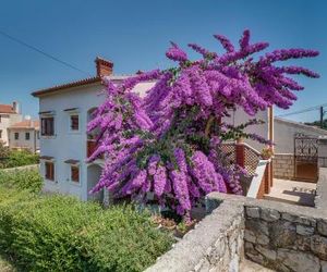 Bugenvilia Mali Losinj Croatia