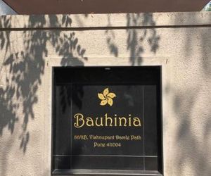 Bauhinia Pune India