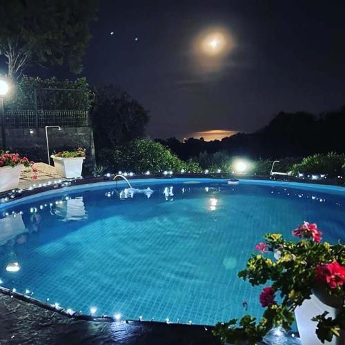 صورة الفندق 12