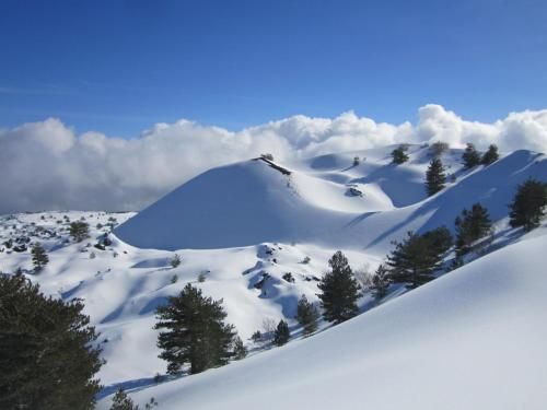 صورة الفندق 19