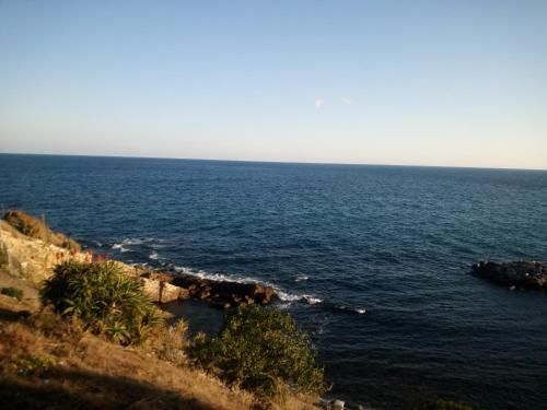 صورة الفندق 21