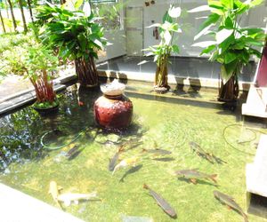 Home Away - Serinity . Relaxation . Peace Tanjung Bunga Malaysia