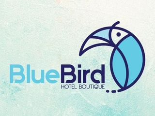 Hotel pic Blue Bird