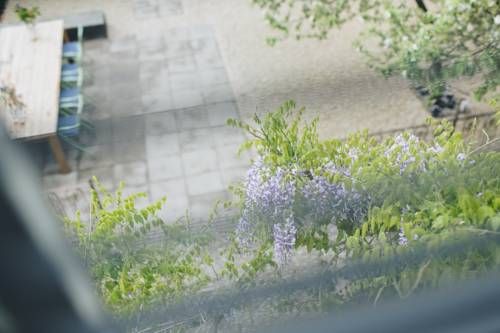صورة الفندق 24
