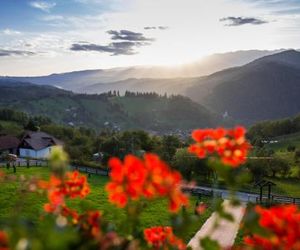 Bran Monte Crai Chalet Bran Romania