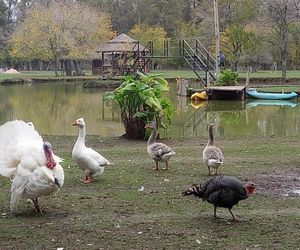 La Justina club de campo Pilar Argentina