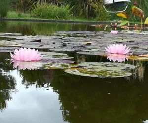 Las Rosas Balneario Mar Azul Argentina