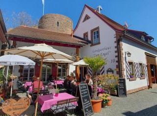 Фото отеля Landgasthaus \Zum Engel\