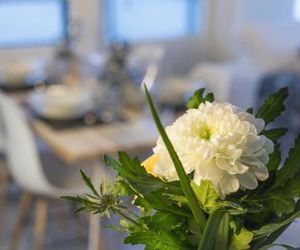 Tuomas´ luxurious suites, Livo Rovaniemi Finland
