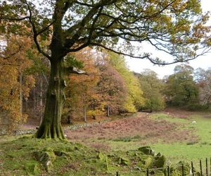 The Oaks, Windermere Windermere United Kingdom