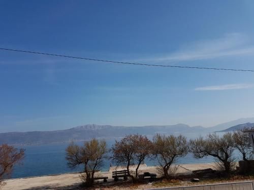 صورة الفندق 5