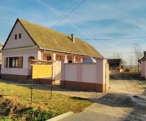 Holiday house with a parking space Orolik (Slavonija) - 14358 Neo-Vukovar Croatia