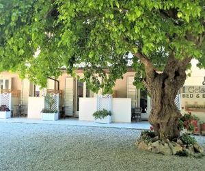 Il Gelso di Sofia B&B Tortoreto Lido Italy