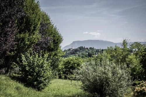 صورة الفندق 16