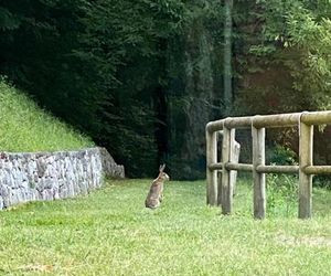 Borgo Paradiso Tignale Italy