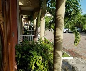 Palms of Liguanea Kingston Jamaica