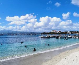 Fleur dAcacia Les Trois Ilets Martinique