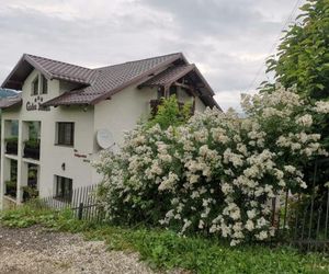 Casa Doina Vatra Dornei Romania