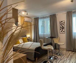 Urseni Studio Apartment Timisoara Romania