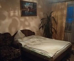 Apartment on Gagarina 2 Zlatoust Russia