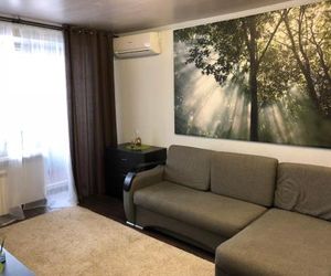 Apartment on Sennaya Ryazan Russia