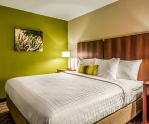 Best Western North Phoenix Hotel Glendale United States