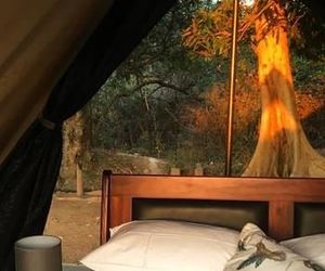 Senate Boutique Camp - Campsite Hoedspruit South Africa