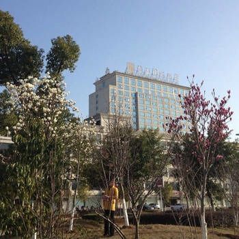Hotel Photo 16