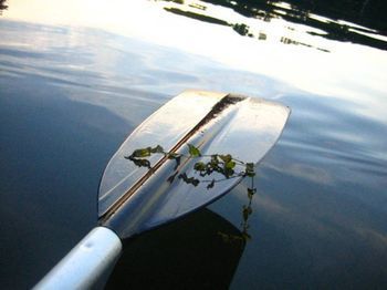 صورة الفندق 12