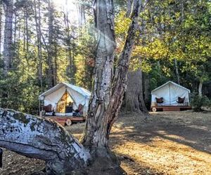Mendocino Grove Mendocino United States
