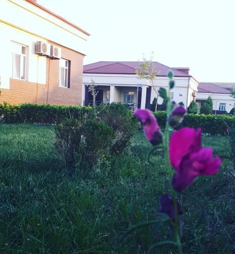صورة الفندق 7