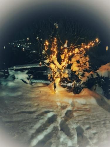 صورة الفندق 15