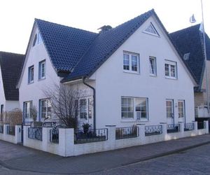 Strandflieder Norderney Germany