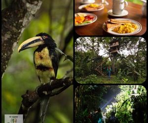 El Edén: Treehouse Mindo Ecuador